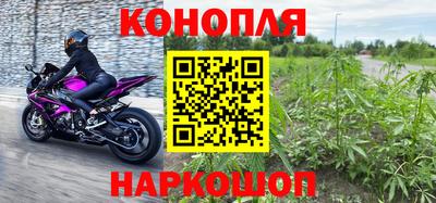apvp Братск