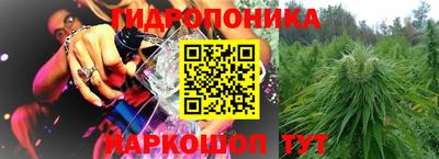 apvp Братск