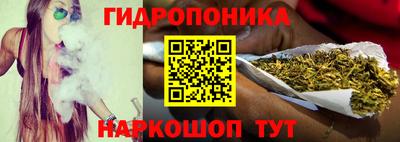 apvp Братск